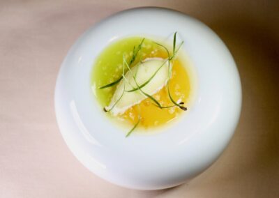 FUEGO DIVINO |Persimmon flesh & fennel with lemon verbena ice|